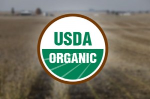 tico-shaving-usda-organic-logo