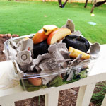 2-started-composting